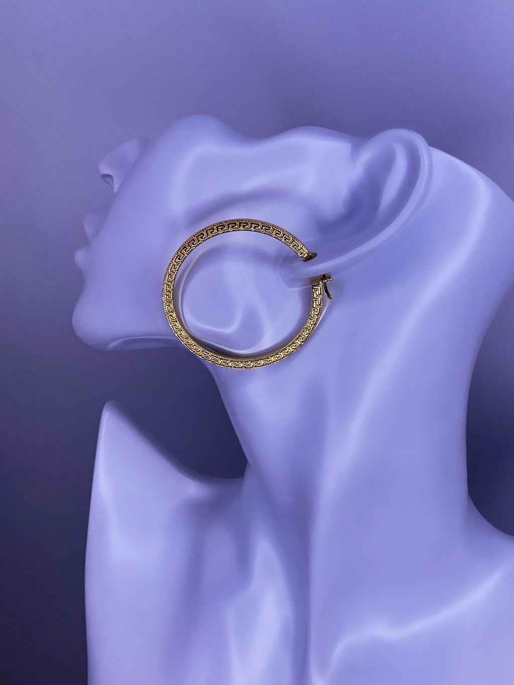Demi Hoops