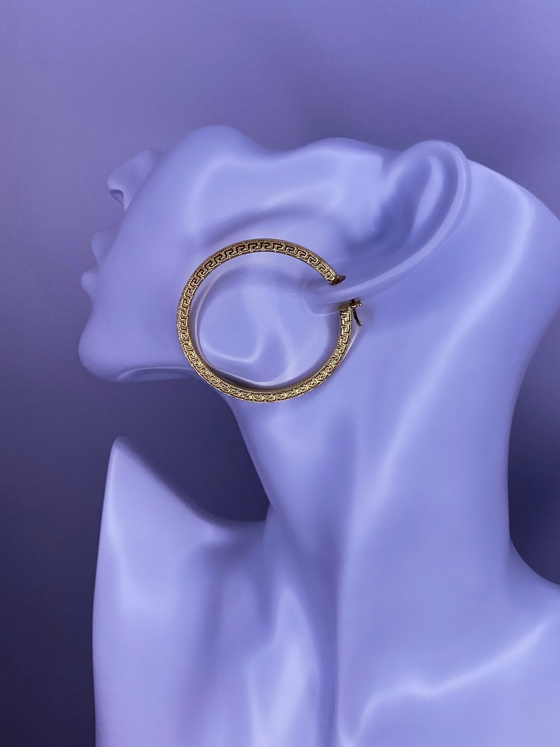 Demi Hoops